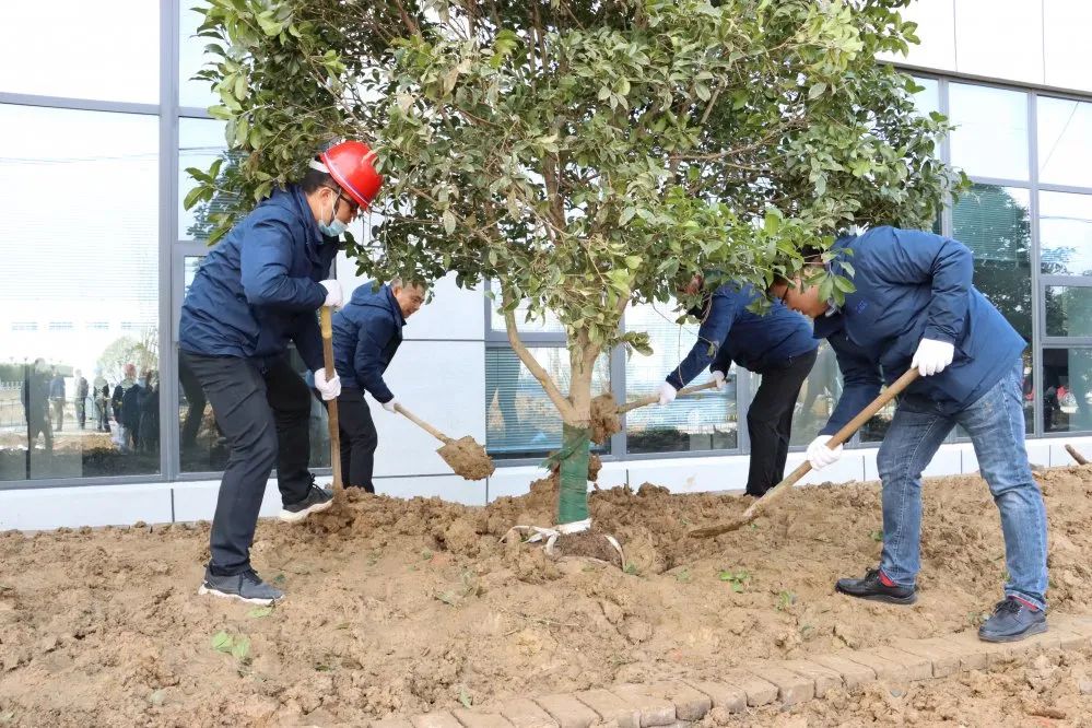 爭做護(hù)綠大使，共創(chuàng)瑞江家園——植樹節(jié)活動報道